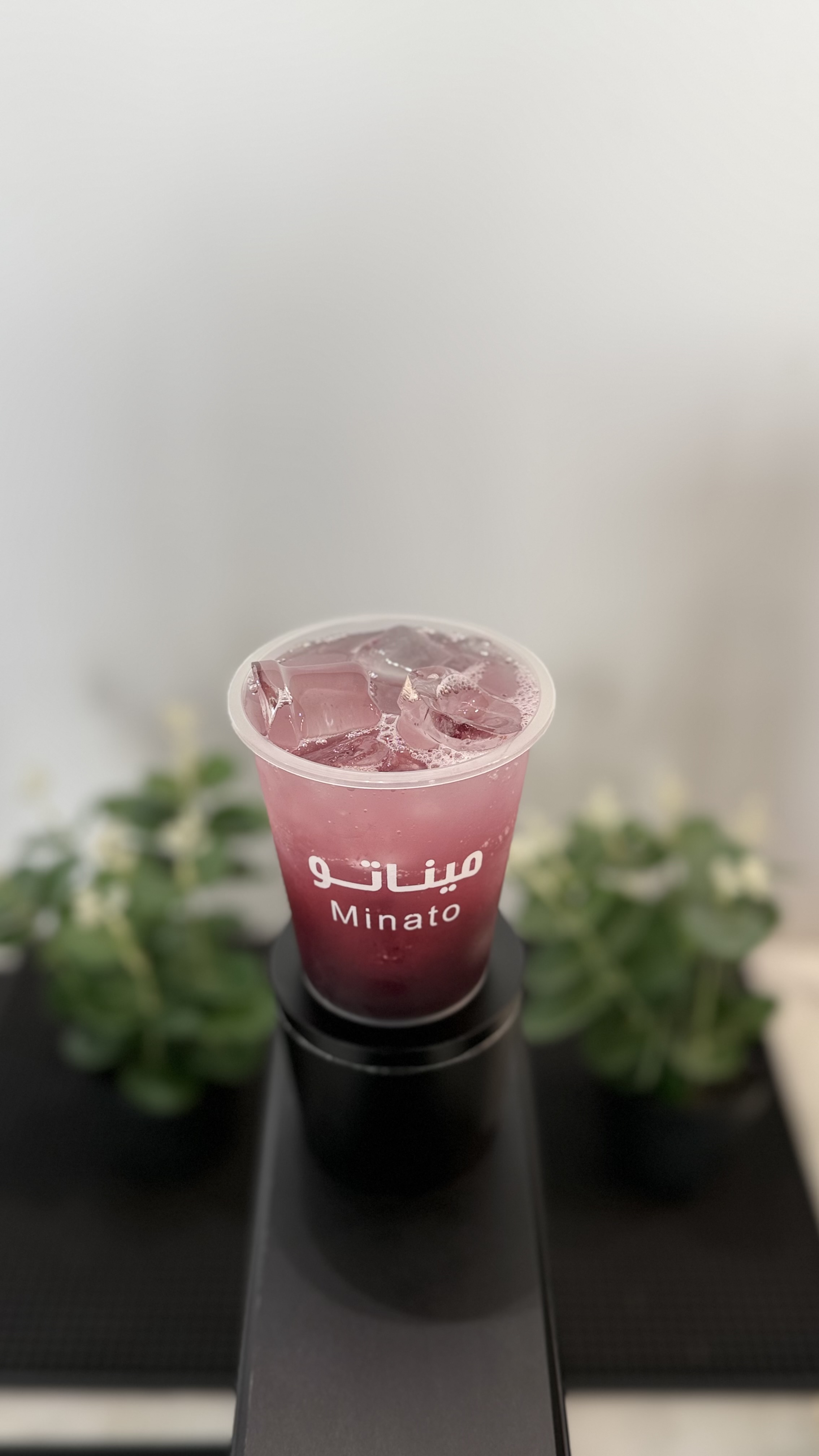 موهيتو ميناتو